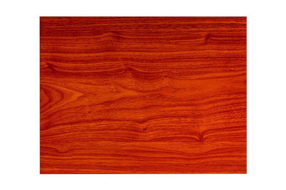 盛夏光年-直紋浮雕