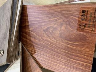 蒼松翠柏—霧麻