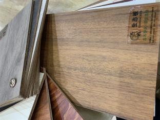 古木參天—零度雨絲