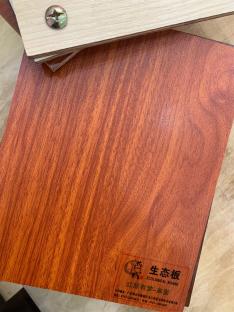 紅顏有夢—麻面