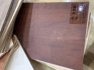 欣欣向榮—零度雨絲