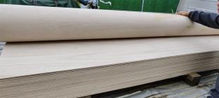 長(zhǎng)彎板008